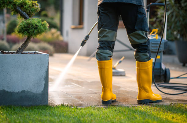 Best Pressure Washing Company Near Me  in Arcadia, SC